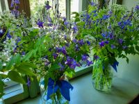 Estland - Schloss Alatskivi