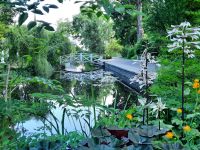 Estland - Tartu - Botanischer Garten