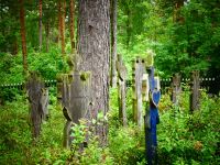 Litauen - Kurische Nehrung