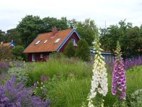 Litauen - Kurische Nehrung