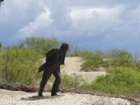 Litauen - Kurische Nehrung