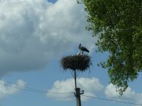Unterwegs im Baltikum