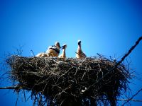 Unterwegs im Baltikum