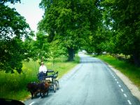 Estland - Lahemaa Nationalpark