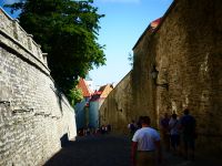 Estland - Tallinn