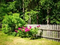 Estland - Tallinn - Rocca al Mare