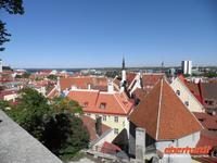 Blick über Tallinn