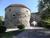 Tallinn- die Dicke Margarite