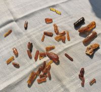 Die Natur erschafft ungewöhnliche Formen von Bernstein