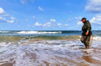 Bernsteinfischer in Aktion