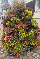 Blumendekoration in Pärnu