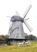 Holländische Mühle im Angla Park