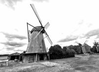 Holländische Mühle im Angla Park
