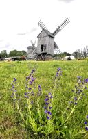 Im Angola Windmühlenpark stehen noch 5 Mühlen