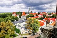 Blick über die Dächer der unteren Altstadt von Tallin