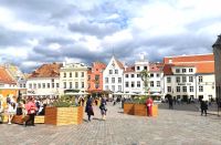 Rathausplatz und Rathaus von Tallin