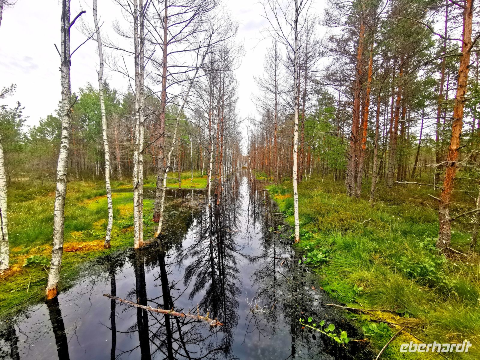 Wundervolle unberührte Natur im Lahemaa Nationalpark