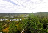 Blick auf den Lahemaa Nationalpark