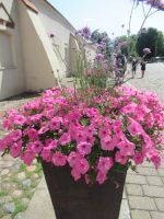 Kaunas - der zum Rathhausplatz