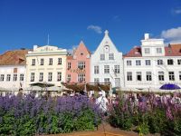 Tallin - Rathhausplatz