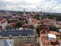 Der Ausblick von der Turm der Olaikirche an die Stadt