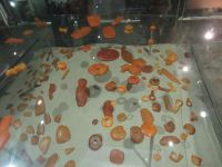 Im Bernsteinmuseum in Vilnius