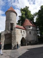 Tallinn - Viru Tor - Teil der Stadtmauer