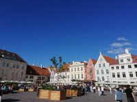 Tallinn - buntes Treiben auf dem Rathausplatz