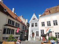 Rathausplatz Tallinn und Relax der Gäste