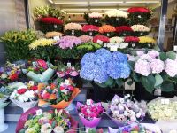 Blumen Vielfalt am Markt
