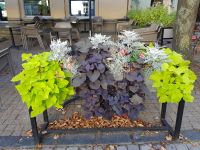 Vilnius - Deko in der Burgstrasse(23).jpg