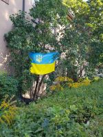 Vilnius - Ukrainische Flagge als Symbol der Solidarität(33).jpg