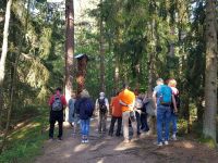 Kurische Nehrung - 1.Hexenplatz (5).jpg