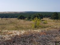 2.Wanderung Hohe Düne bis Nidda (17).jpg