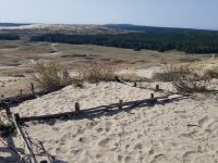 2.Wanderung Hohe Düne bis Nidda (22).jpg