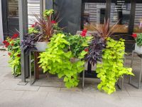 Riga - Dekoration zum Hinschauen (3).jpg