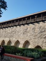 Tallinn -Stadtmauer(9).jpg