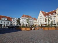 Tallinn - Marktplatz(17).jpg