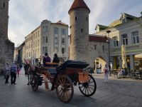 Tallinn  - An der Stadtmauer(24).jpg