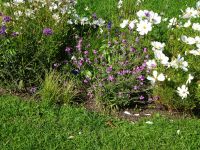 Nidden: Kurenfriedhof