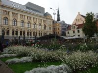 Riga: Livenplatz