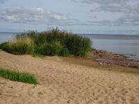 Kallaste: am Peipussee