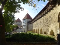 Tallinn: Stadtmauer