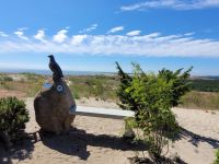 Kurische Nehrung - Dünenspaziergang