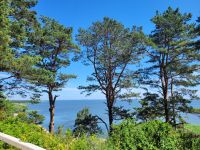 Thomas Mann Haus - Italienblick