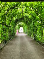 Schloss Ruhental (Rundale)- Rosengarten