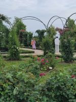 Schloss Ruhental (Rundale)- Rosengarten