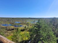 Lahemaa NP Moor Viru Rabu