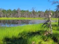 Lahemaa NP Moor Viru Rabu