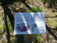 NP Lahemaa Moor Viru Rabu